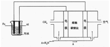 奔驰最强电越野！新款纯电奔驰G级峰值扭矩高达1164Nm