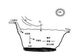 京津冀“飘絮之困”如何破解？专家坦言仍面临关键技术瓶颈